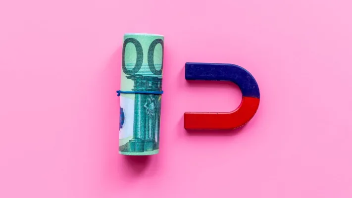 transformando paixão em lucro